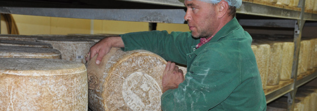 Turning over a round of Laguiole cheese