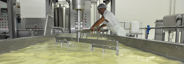 At the Jeune Montagne cheese-making cooperative