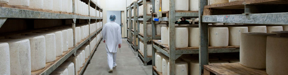 Laguiole cheese cellar