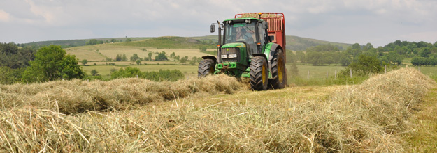 Collecting hay