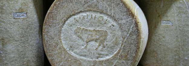 The bull stamp and identification plaques