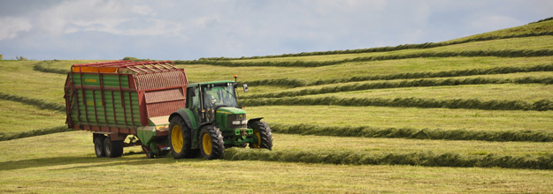 Collecting hay